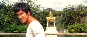 bruceleemaroc